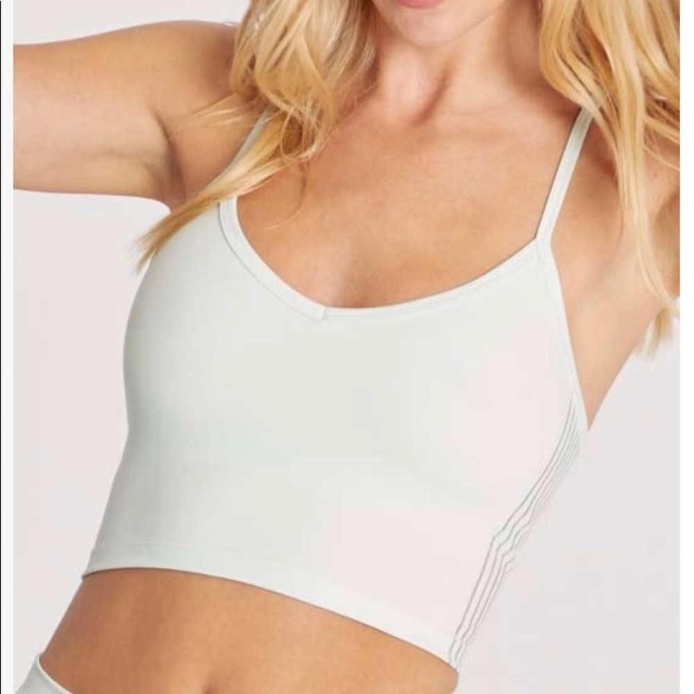 WILDFOX Sea Wren Crop Tank SZ M NWT